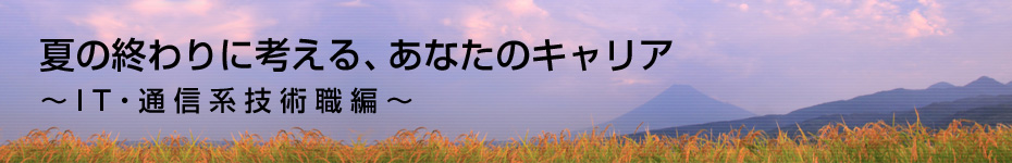 転職マーケットトピックス　IT･通信系技術職（2010年8月：夏の終わりに考える）編