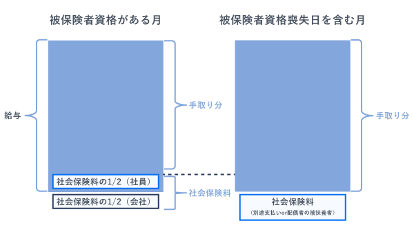 社会保険料の比較図